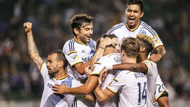 入并找到自 入并找到自