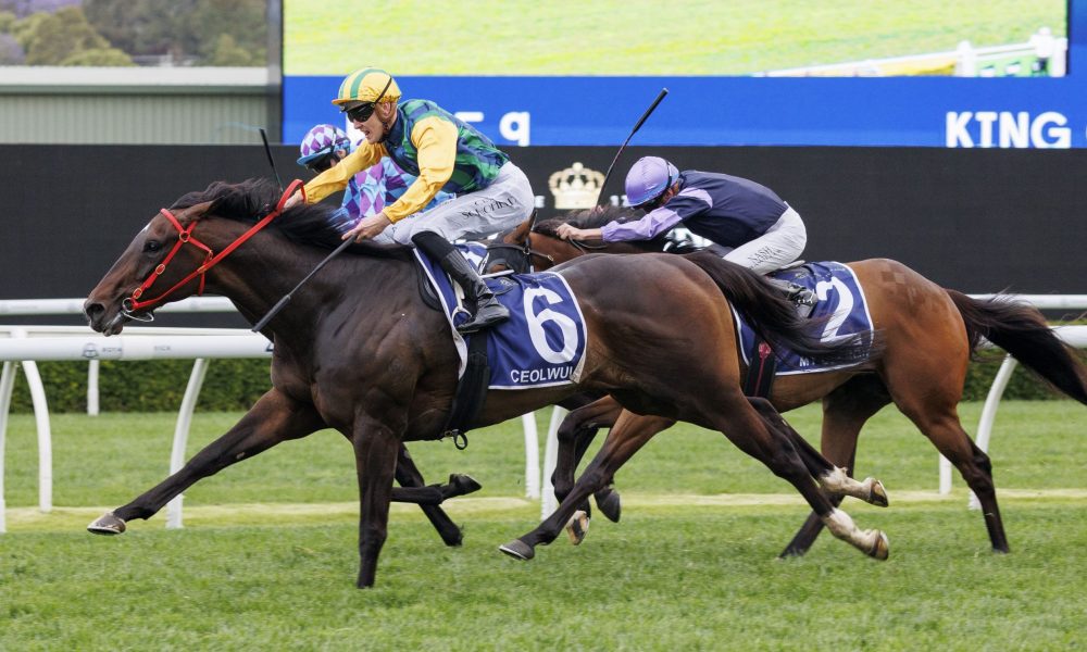 队在本赛季 队在本赛季