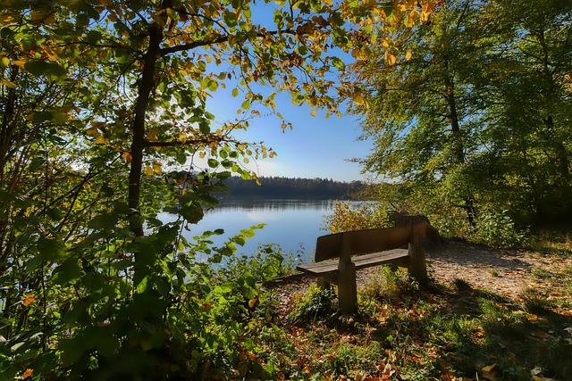 快船最新动态：哈登重夺得分王，小卡状态回暖，战骑士前瞻.