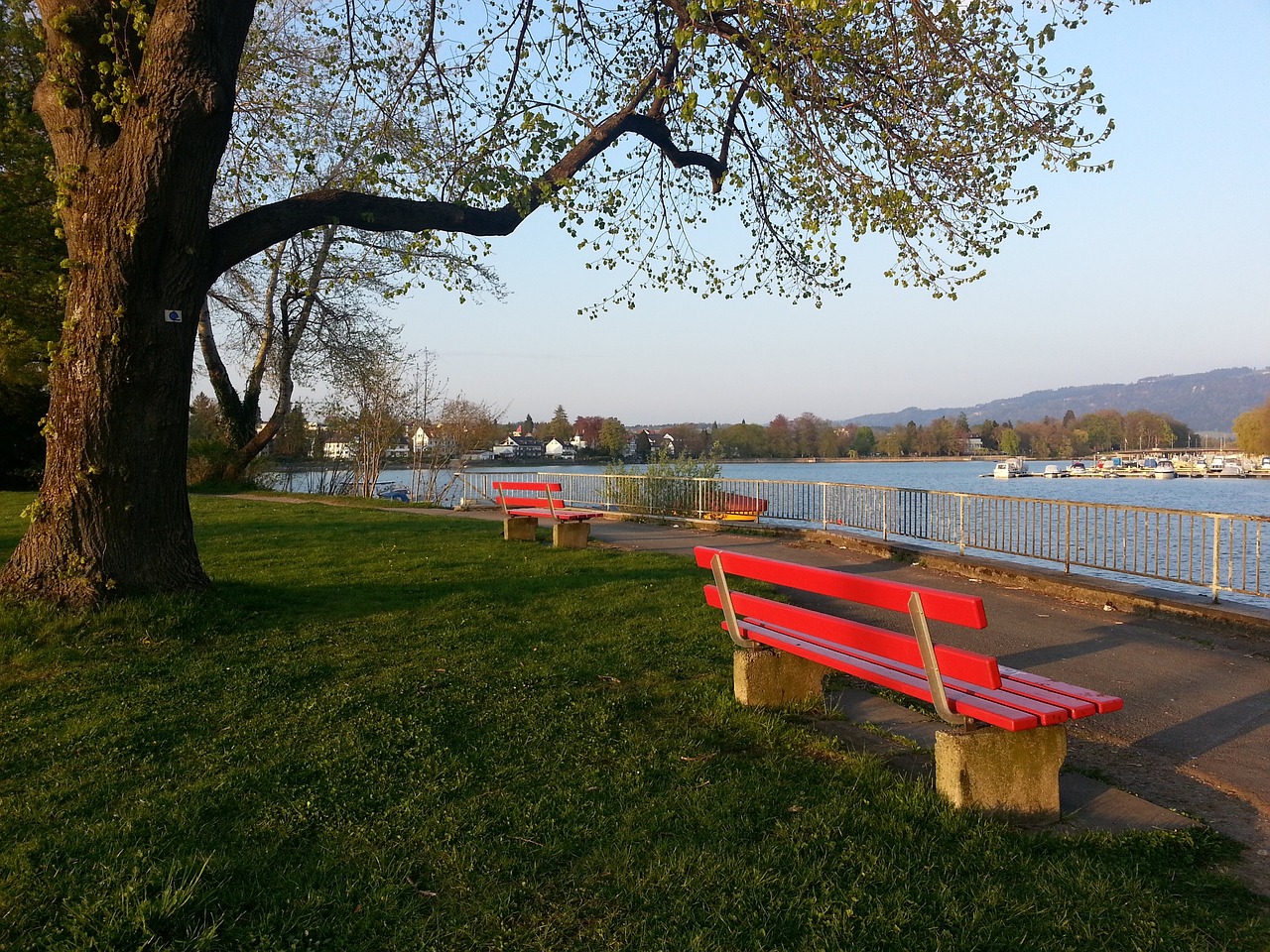 延续自己的 延续自己的